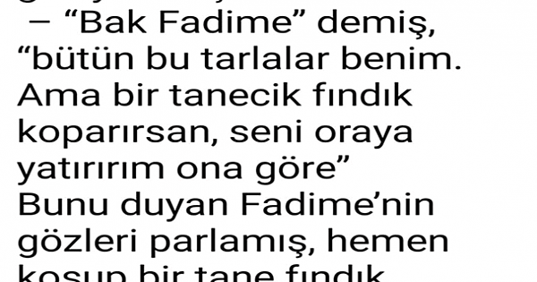 Fadime ile fındık tarlalarında